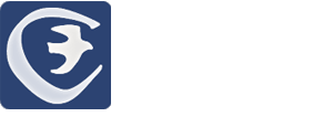 Cove Gallery-Fine Art Gallery in Wellfleet